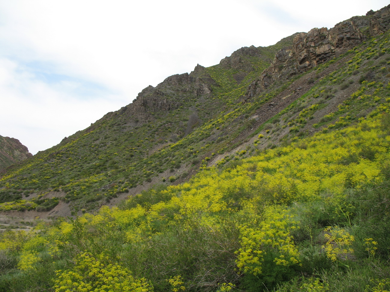 Перевал Кокпек, изображение ландшафта.