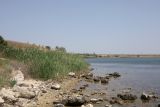 Image of landscape