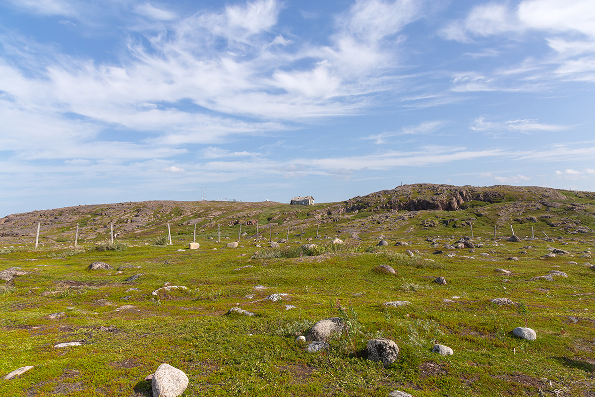Териберка, image of landscape/habitat.