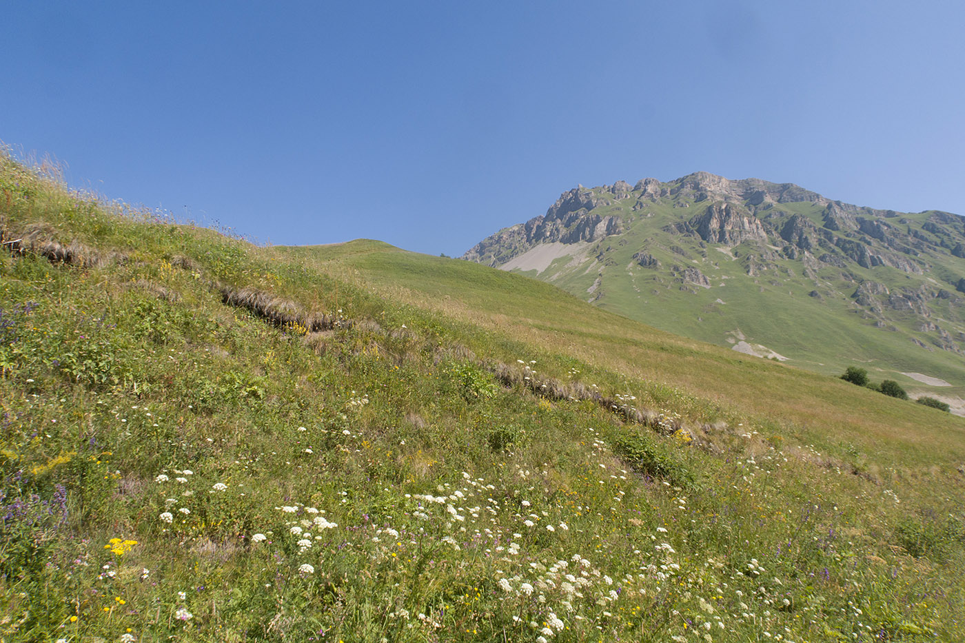 Санибанский перевал, image of landscape/habitat.