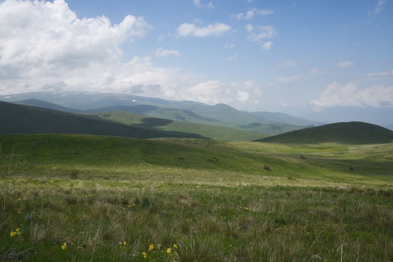Урочище Тба, image of landscape/habitat.