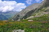 Image of landscape