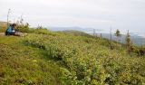 Image of landscape
