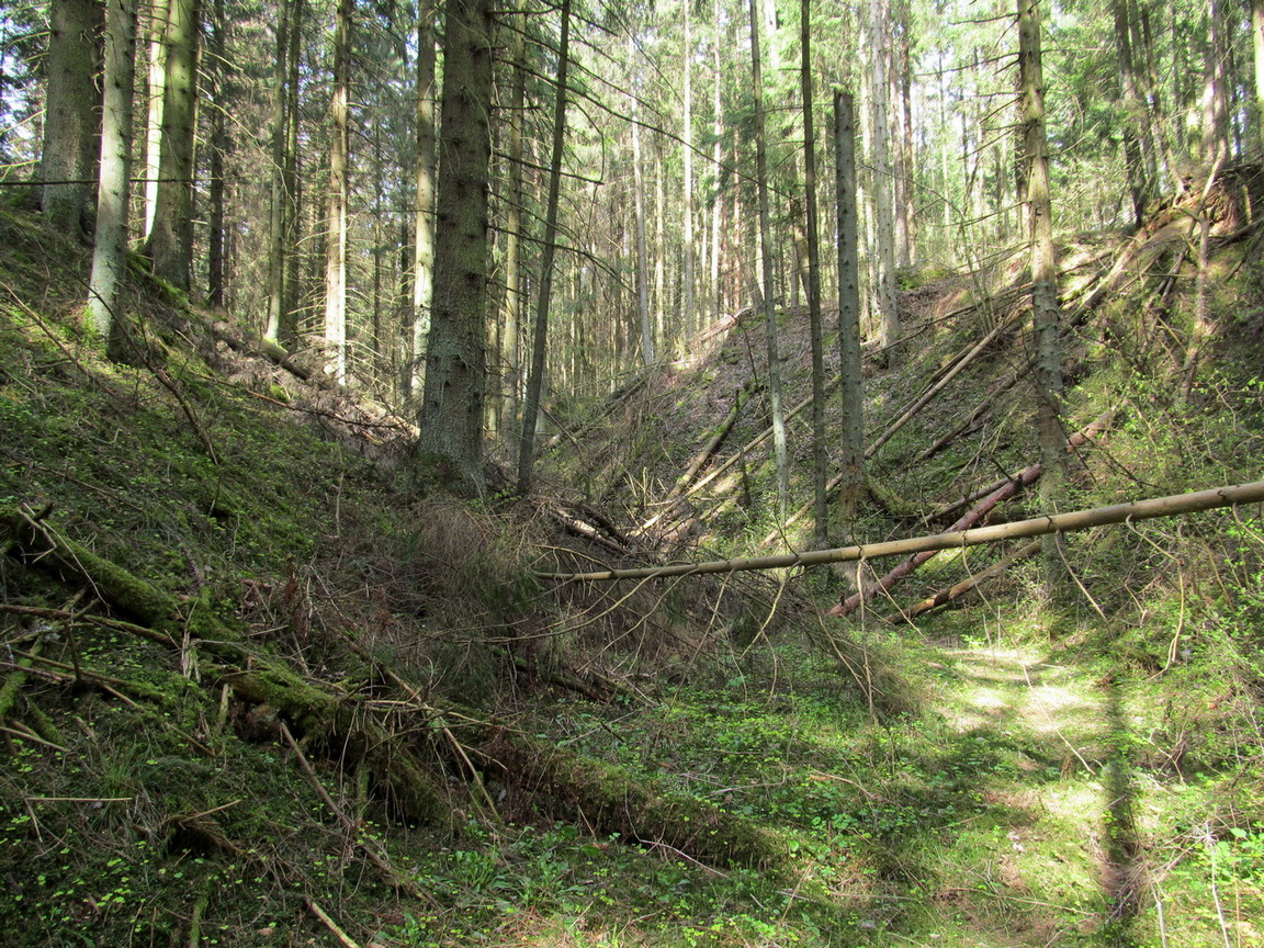 Урочище Климовка, image of landscape/habitat.
