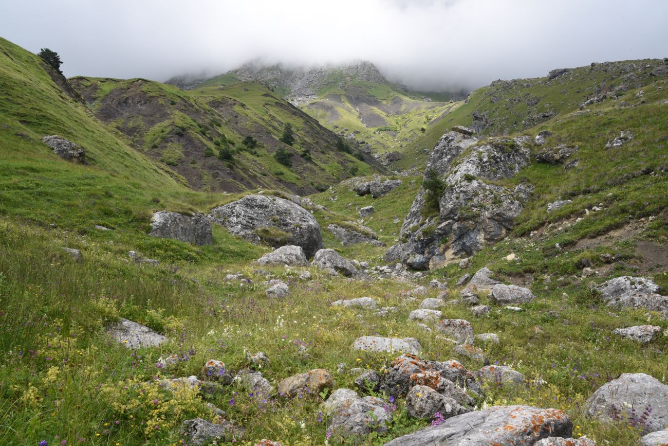 Альплагерь "Кязи" и окрестности, image of landscape/habitat.