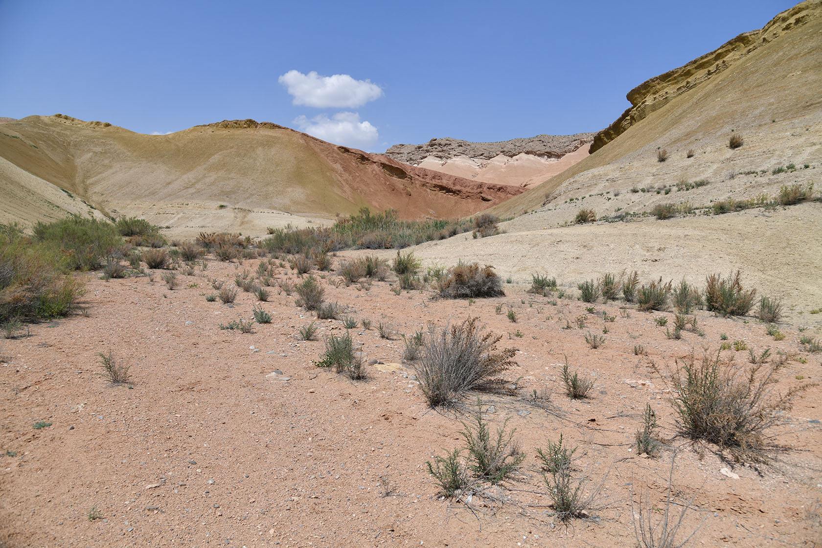 Исфара, image of landscape/habitat.