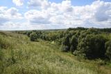Image of landscape