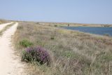 Image of landscape