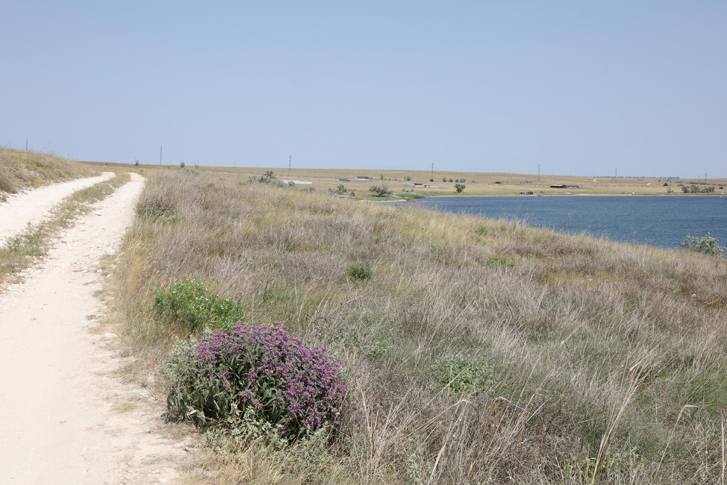 Донузлав (верховья), image of landscape/habitat.