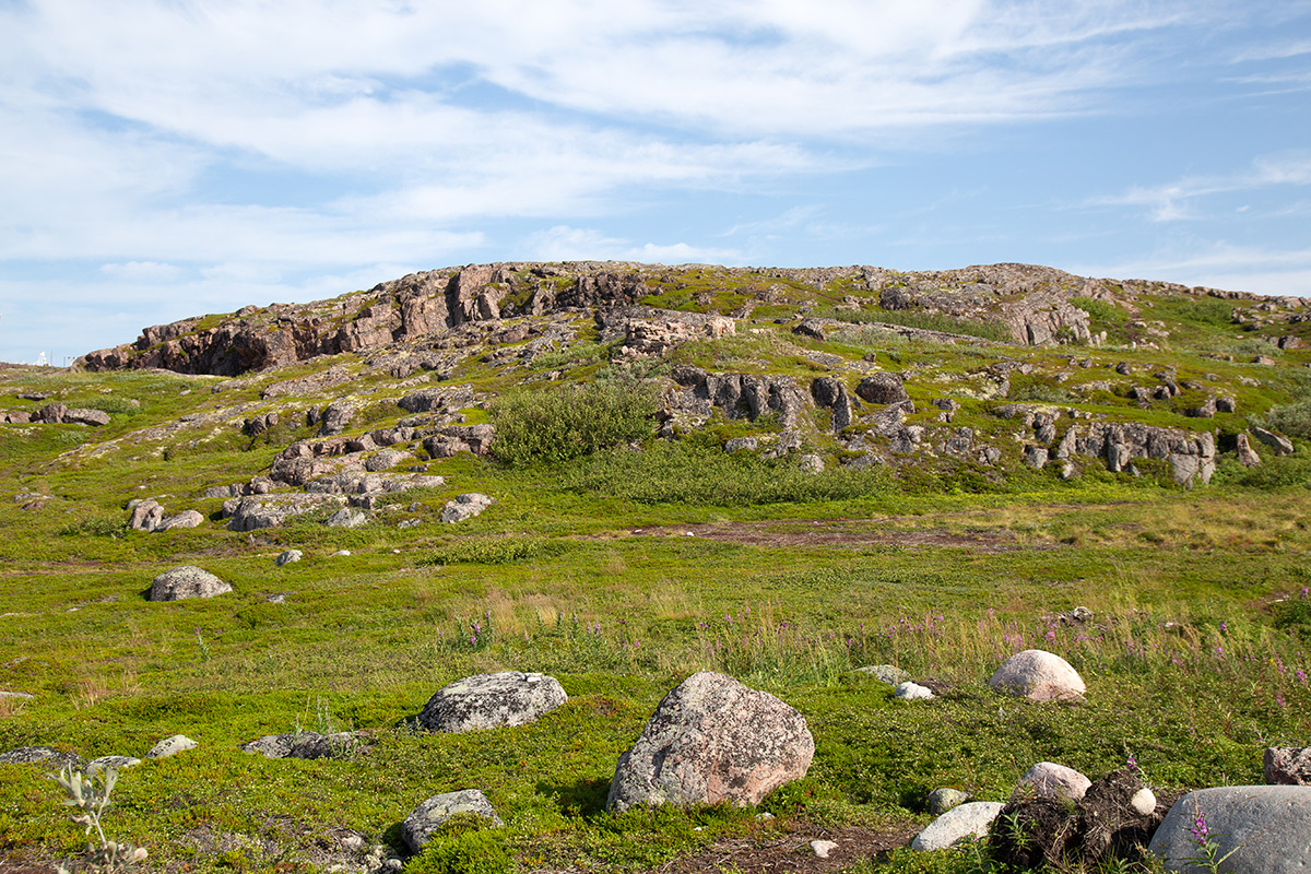 Териберка, image of landscape/habitat.
