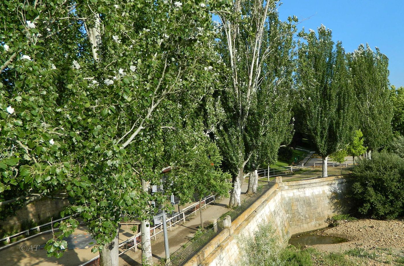 Леон (León), изображение ландшафта.