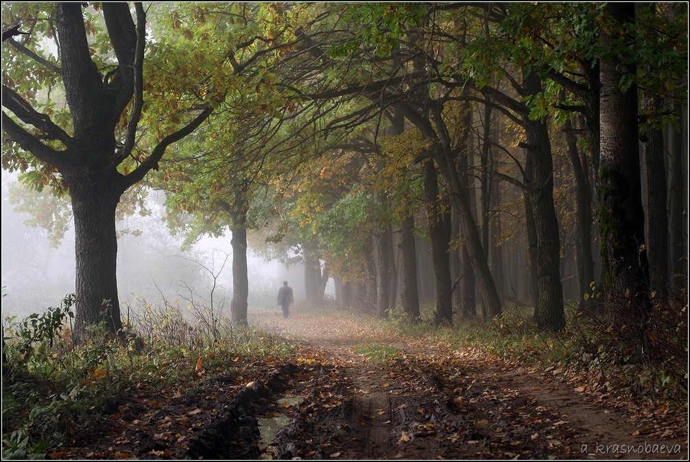 Дубна и окрестности, image of landscape/habitat.