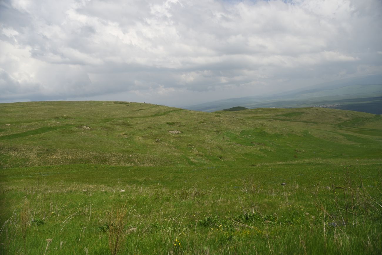 Урочище Агара, изображение ландшафта.