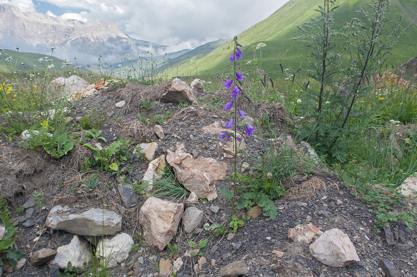 Чехычай, image of landscape/habitat.