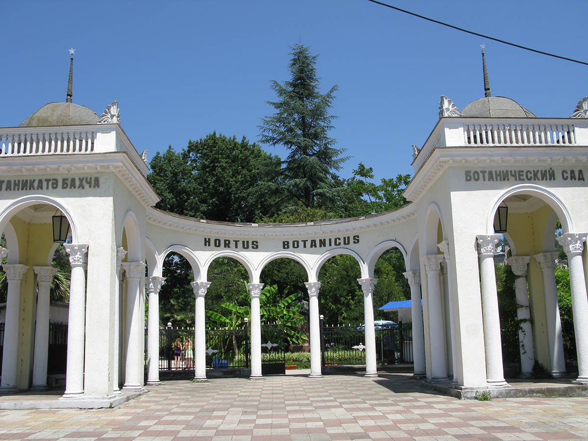 Сухумский ботанический сад, image of landscape/habitat.