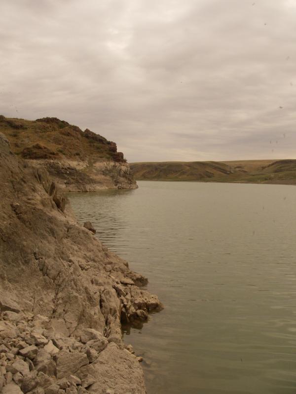 Куртинское водохранилище, image of landscape/habitat.