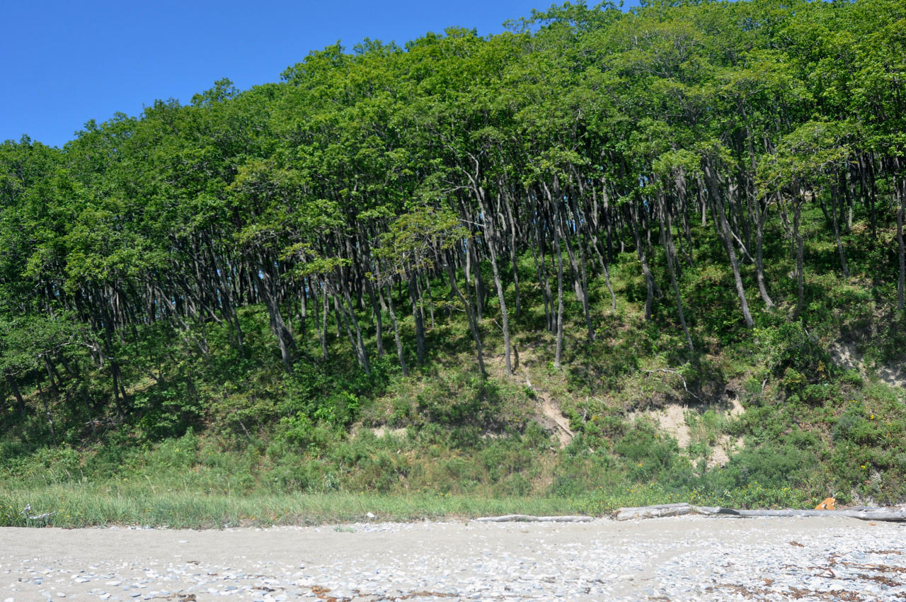 Бухта Русская, image of landscape/habitat.