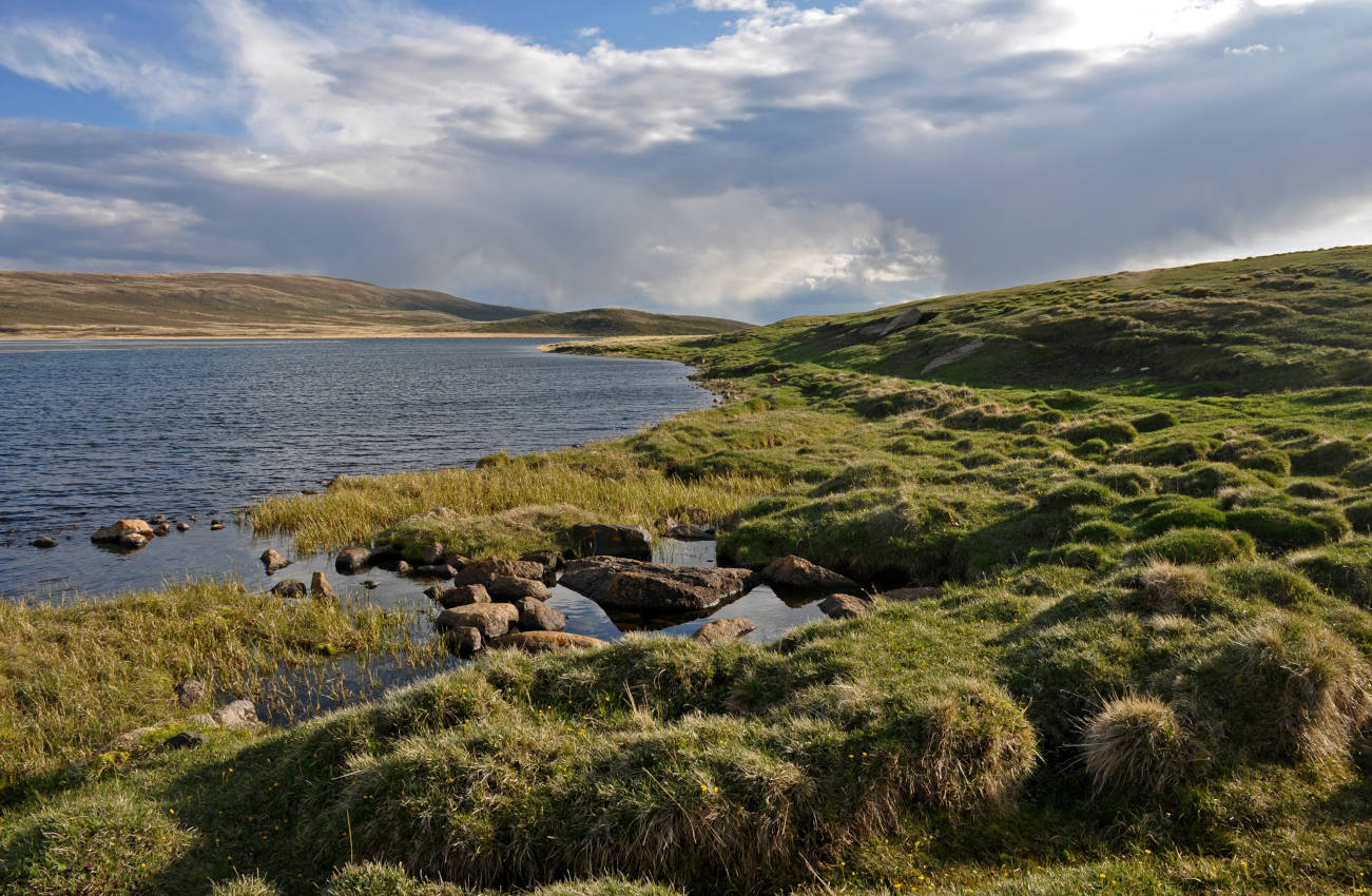 Долина реки Нарын-Гол, image of landscape/habitat.