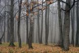 Изображение ландшафта