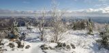 Окрестности Мусино, image of landscape/habitat.