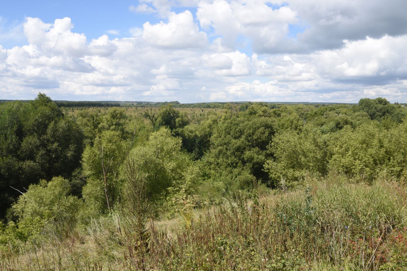 Воейково, image of landscape/habitat.
