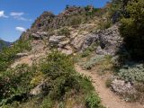 Image of landscape