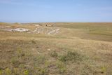 Image of landscape