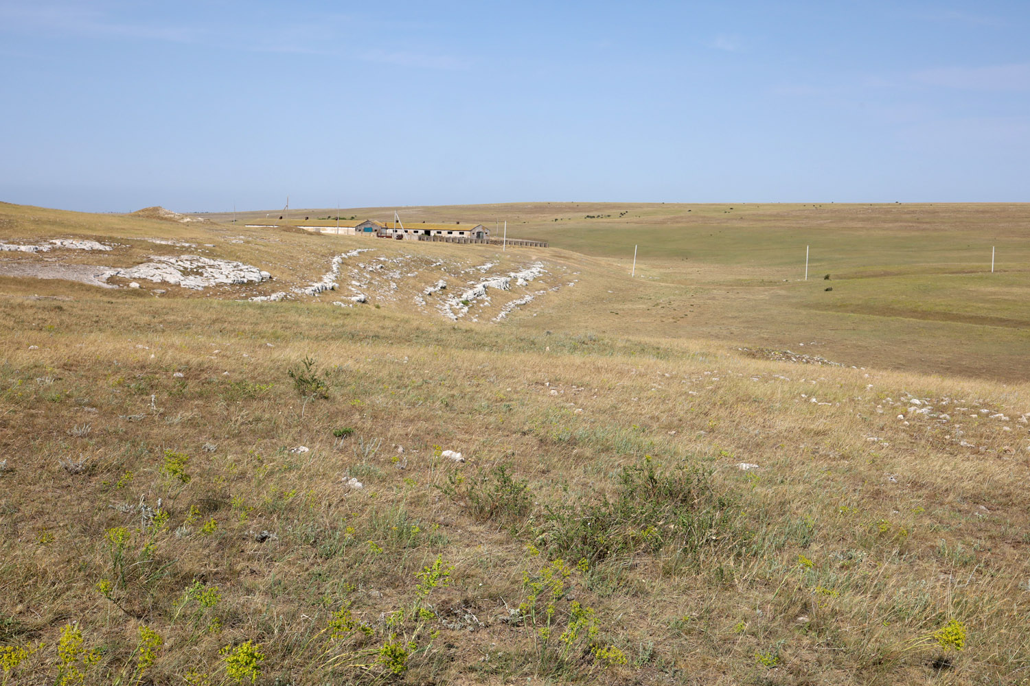 Окрестности села Красносельское, image of landscape/habitat.