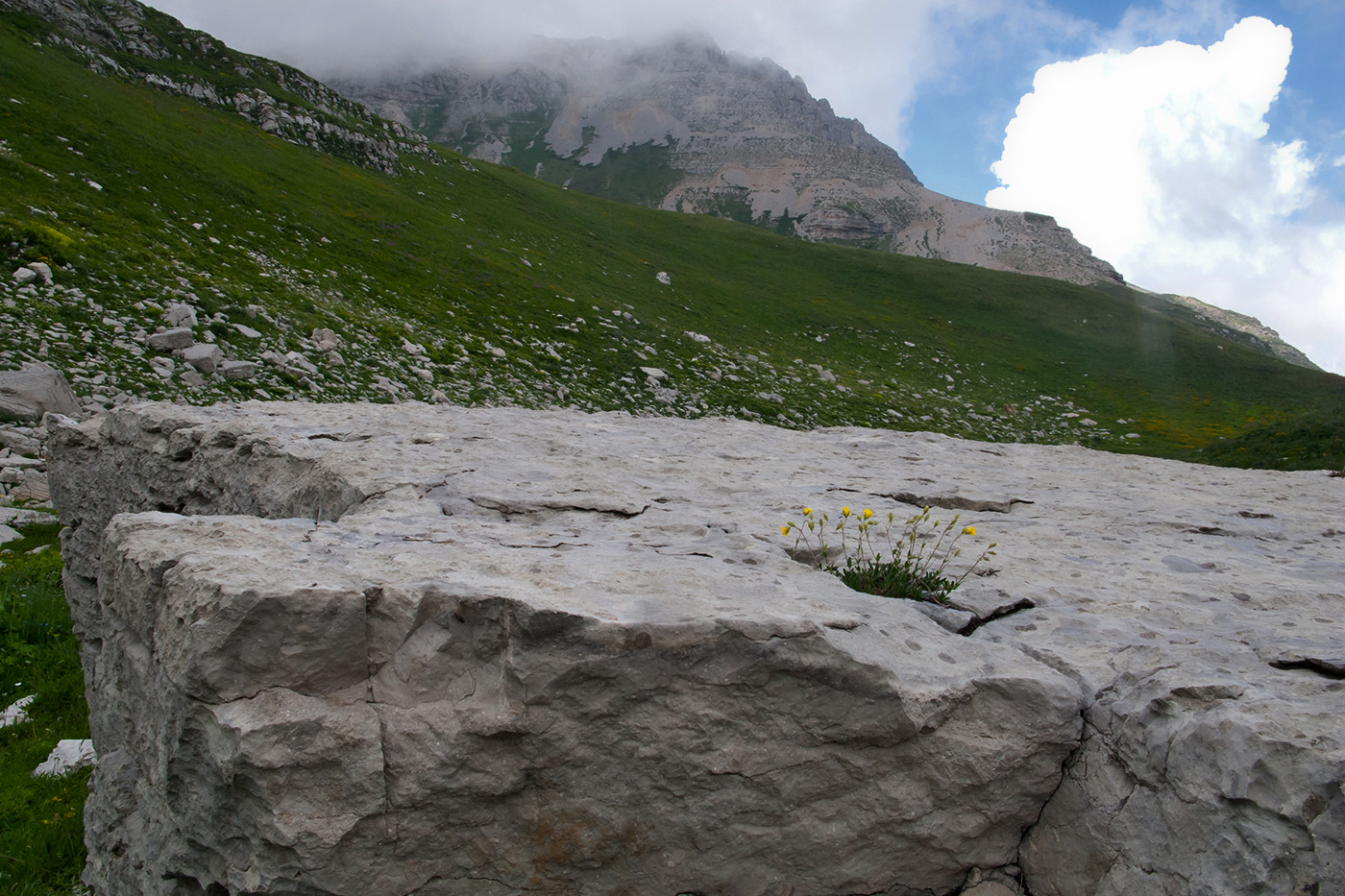 Юго-восточный отрог Оштена, image of landscape/habitat.