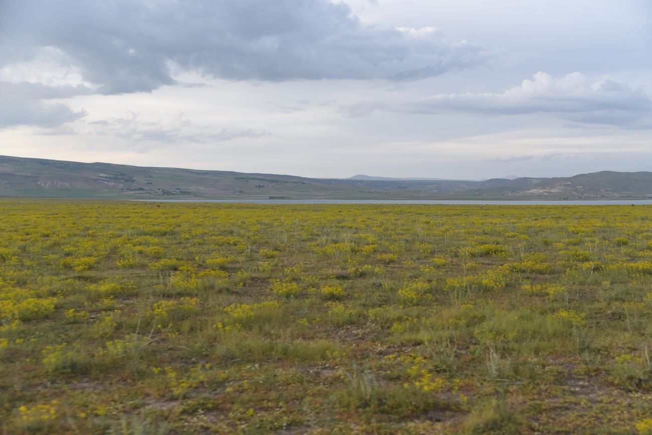 Сусузчукур, image of landscape/habitat.