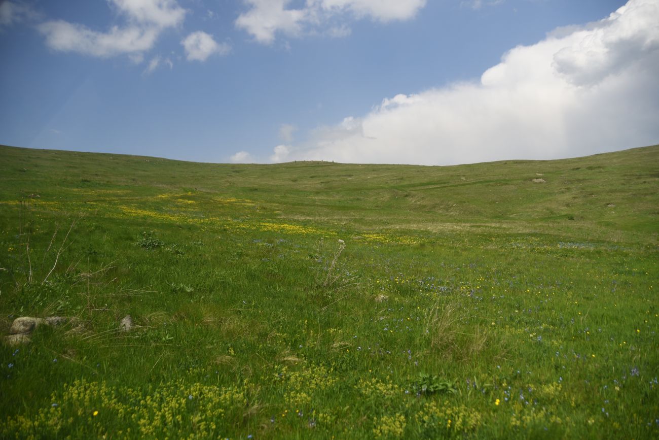 Урочище Агара, изображение ландшафта.