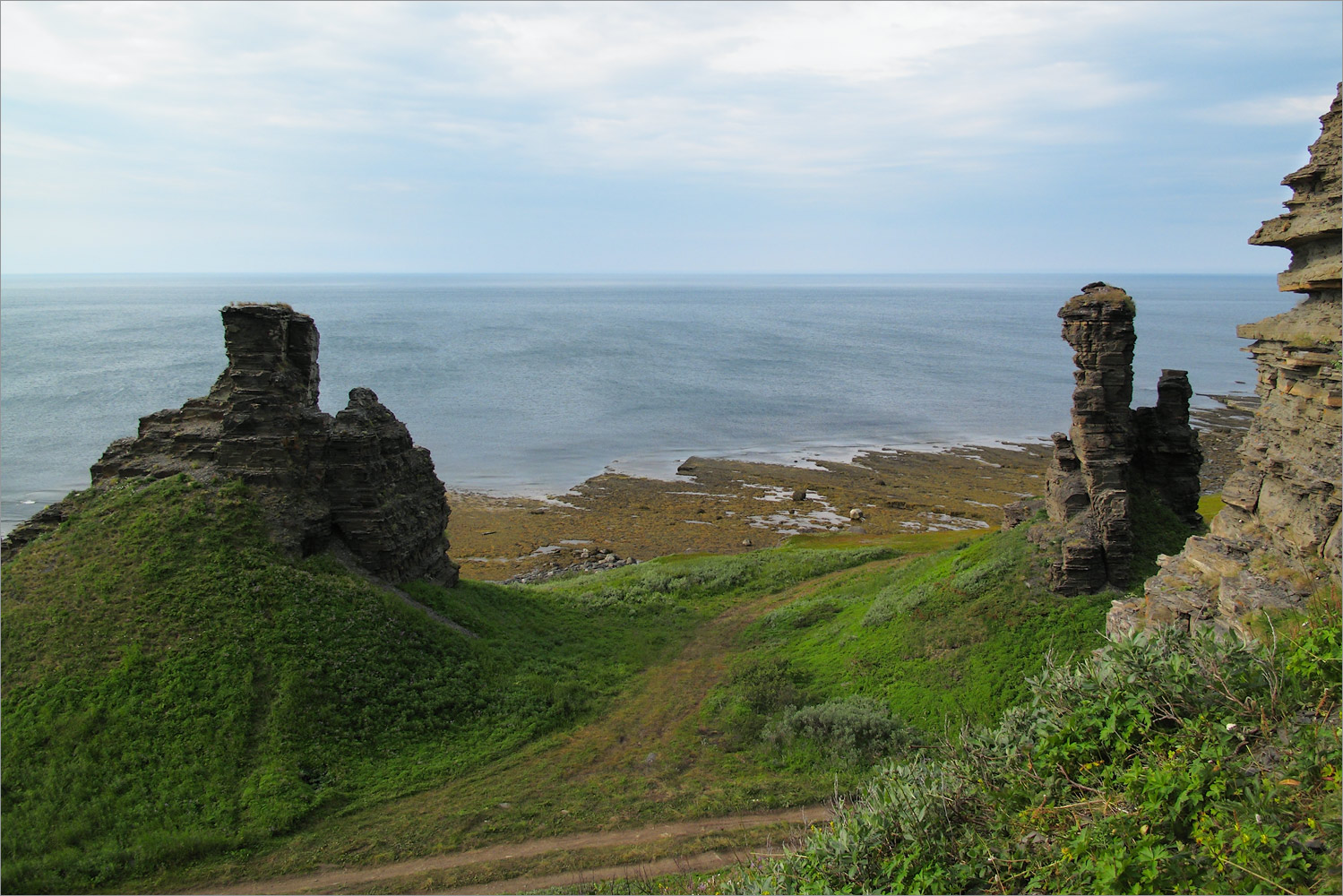 Мыс Земляной, image of landscape/habitat.