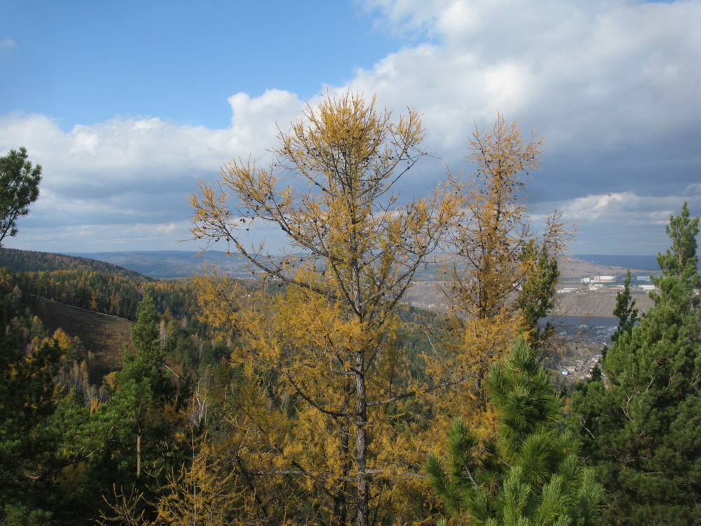Такмак, image of landscape/habitat.