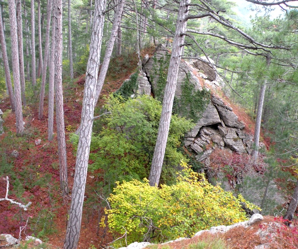 Урочище Таракташ, image of landscape/habitat.