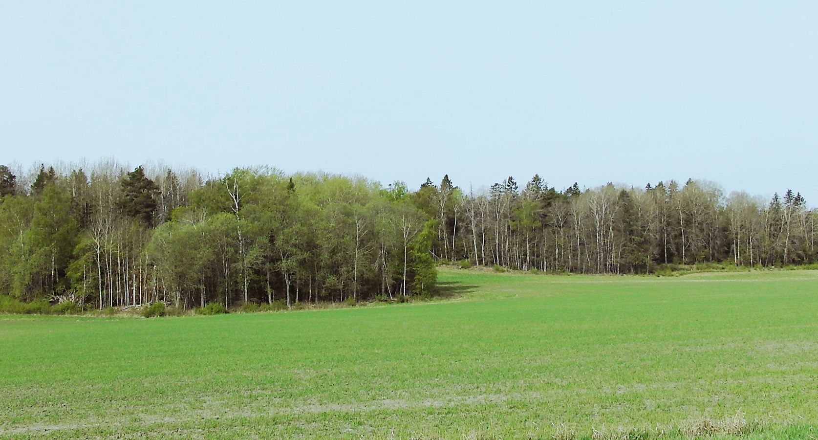 Суннерста, image of landscape/habitat.