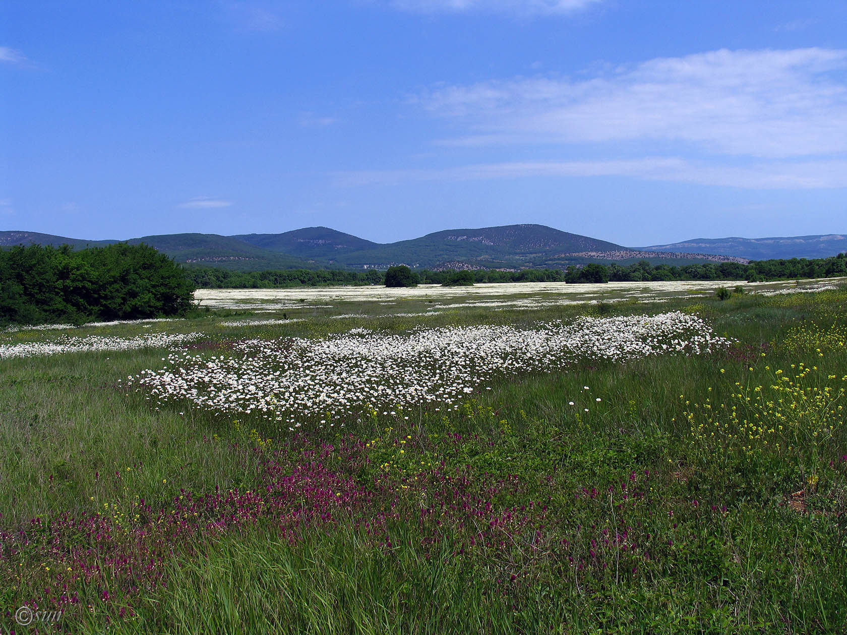 Байдарская долина, image of landscape/habitat.