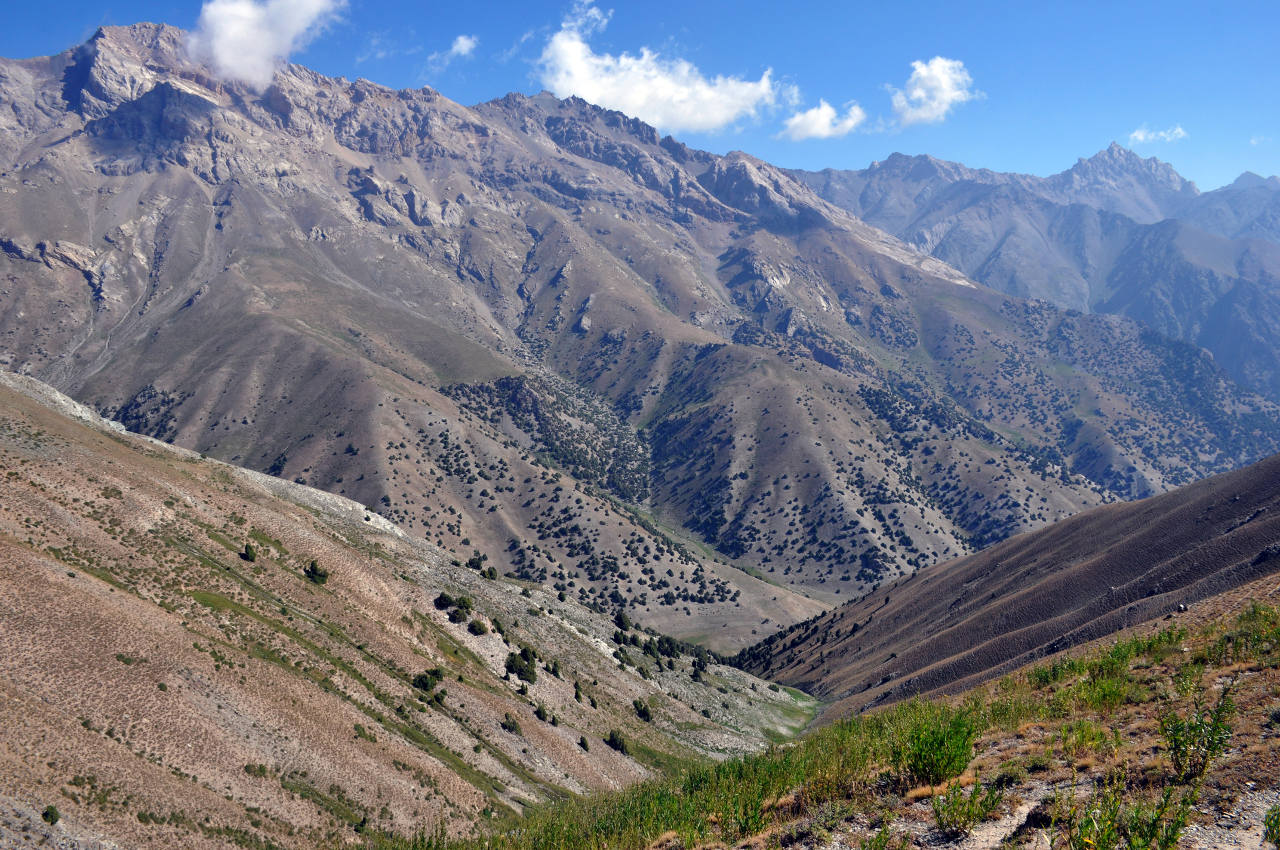 Перевал Лаудан, image of landscape/habitat.