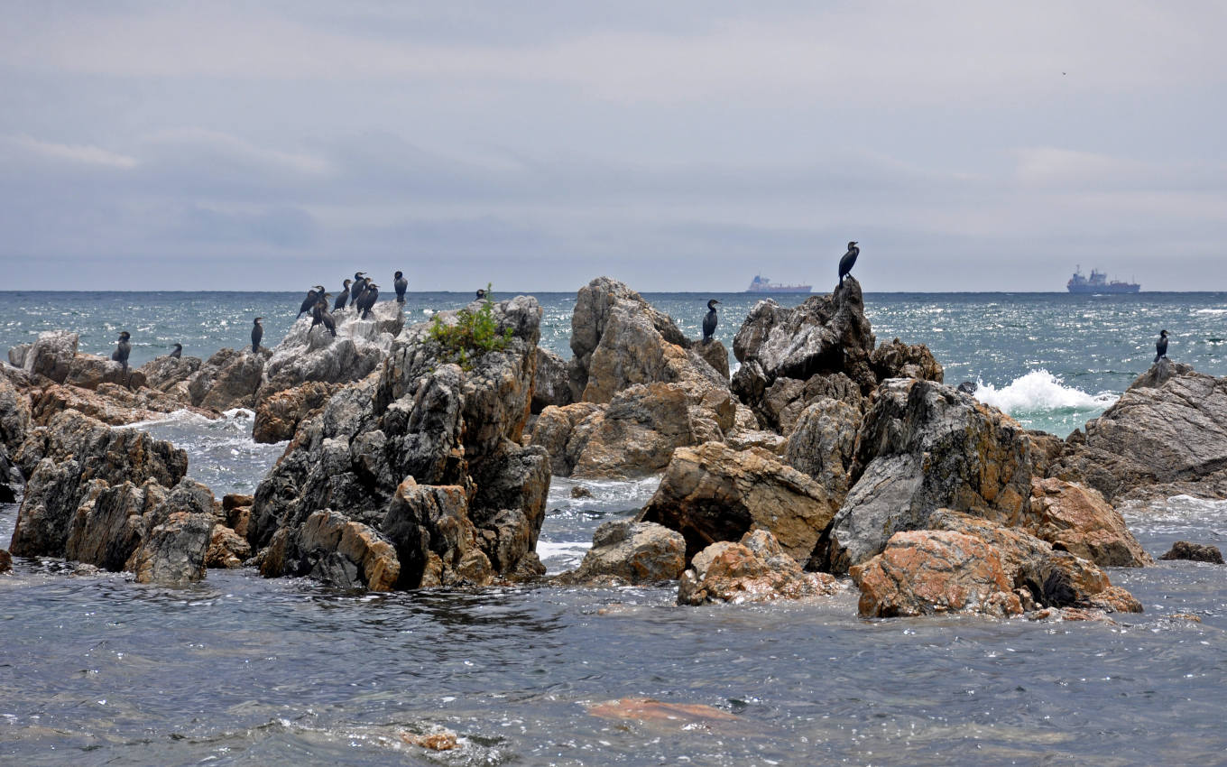 Бухта Средняя, image of landscape/habitat.