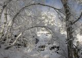 Окрестности Мусино, image of landscape/habitat.