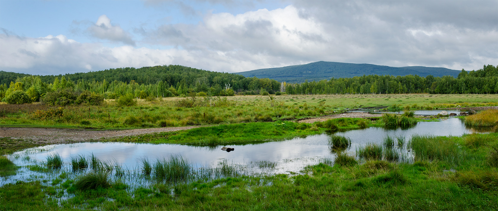 Яльчигулово и окрестности, image of landscape/habitat.