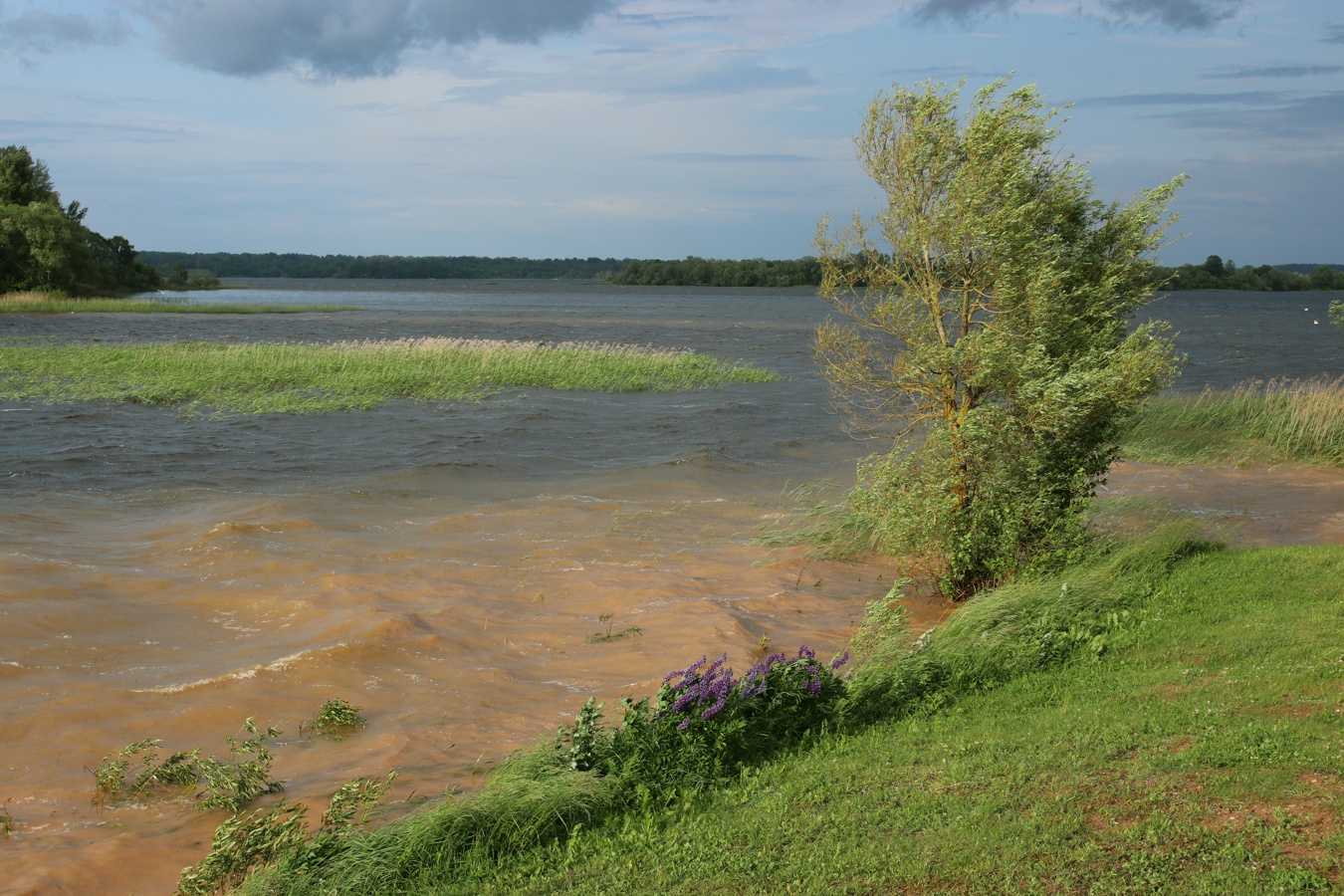 Езерище и окрестности, image of landscape/habitat.