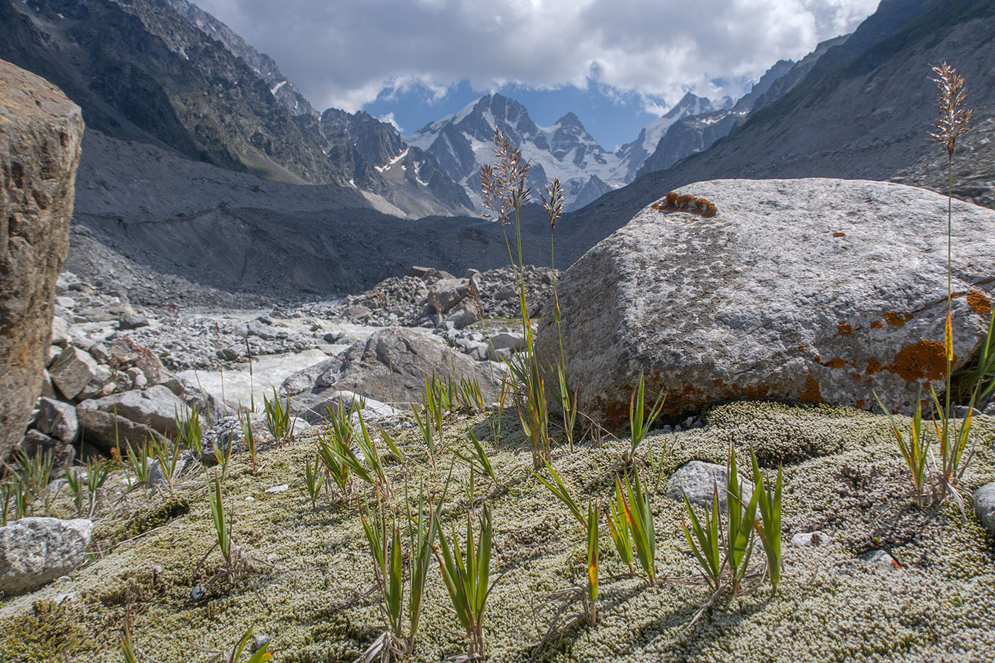Юго-восточный отрог Оштена, image of landscape/habitat.
