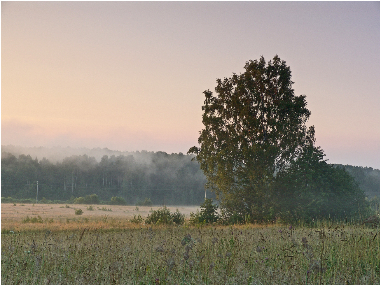 Вазуза, изображение ландшафта.
