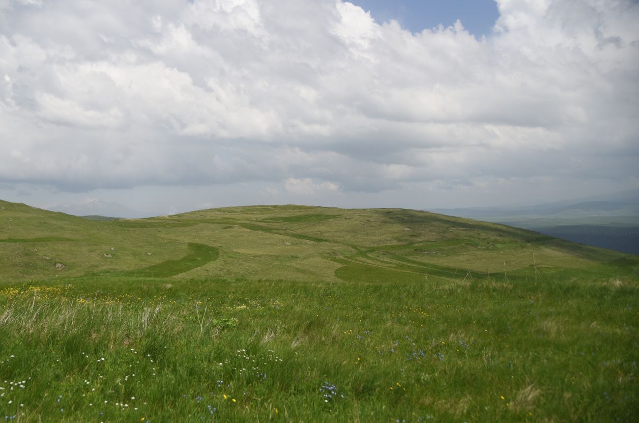 Урочище Агара, изображение ландшафта.