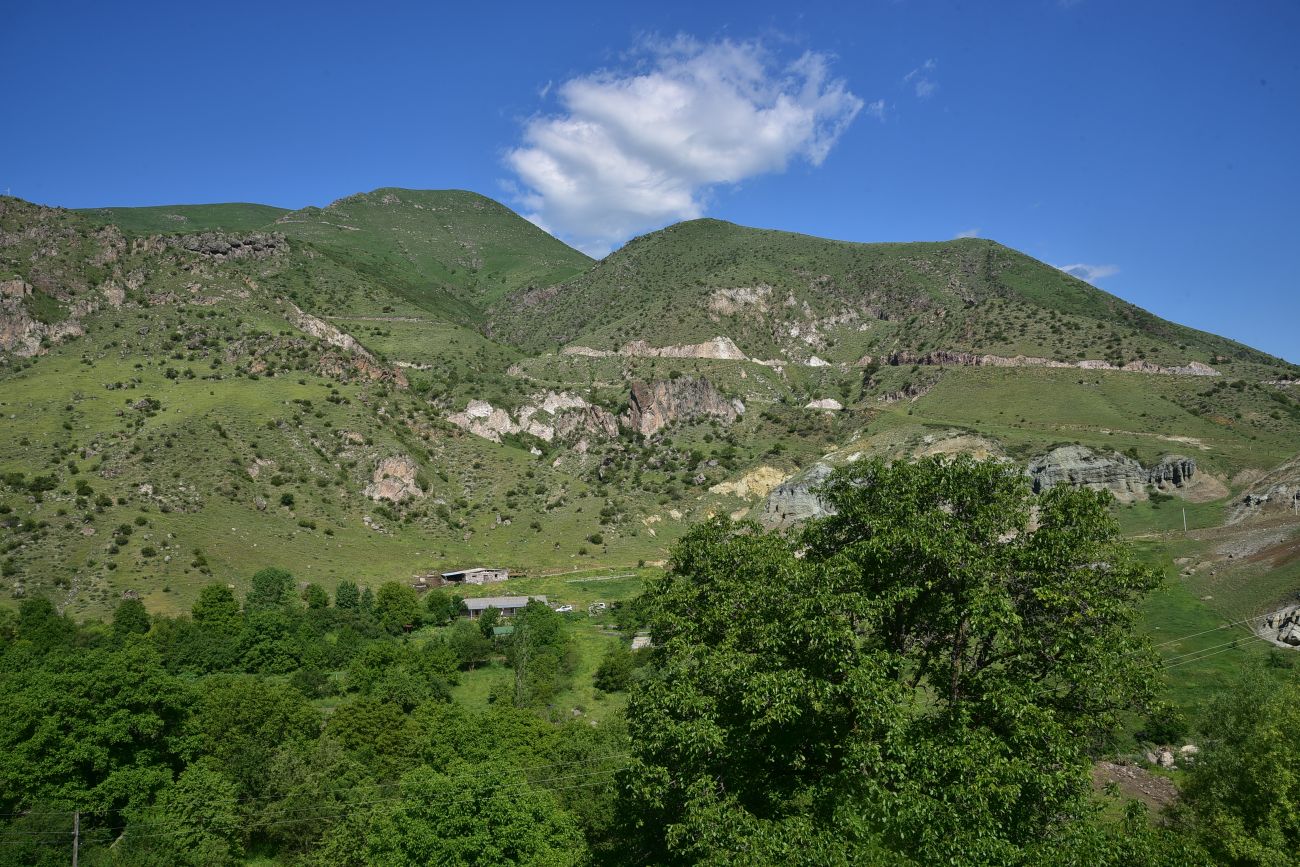 Урочище Тиреби, image of landscape/habitat.