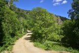 Image of landscape