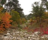 Урочище Таракташ, image of landscape/habitat.