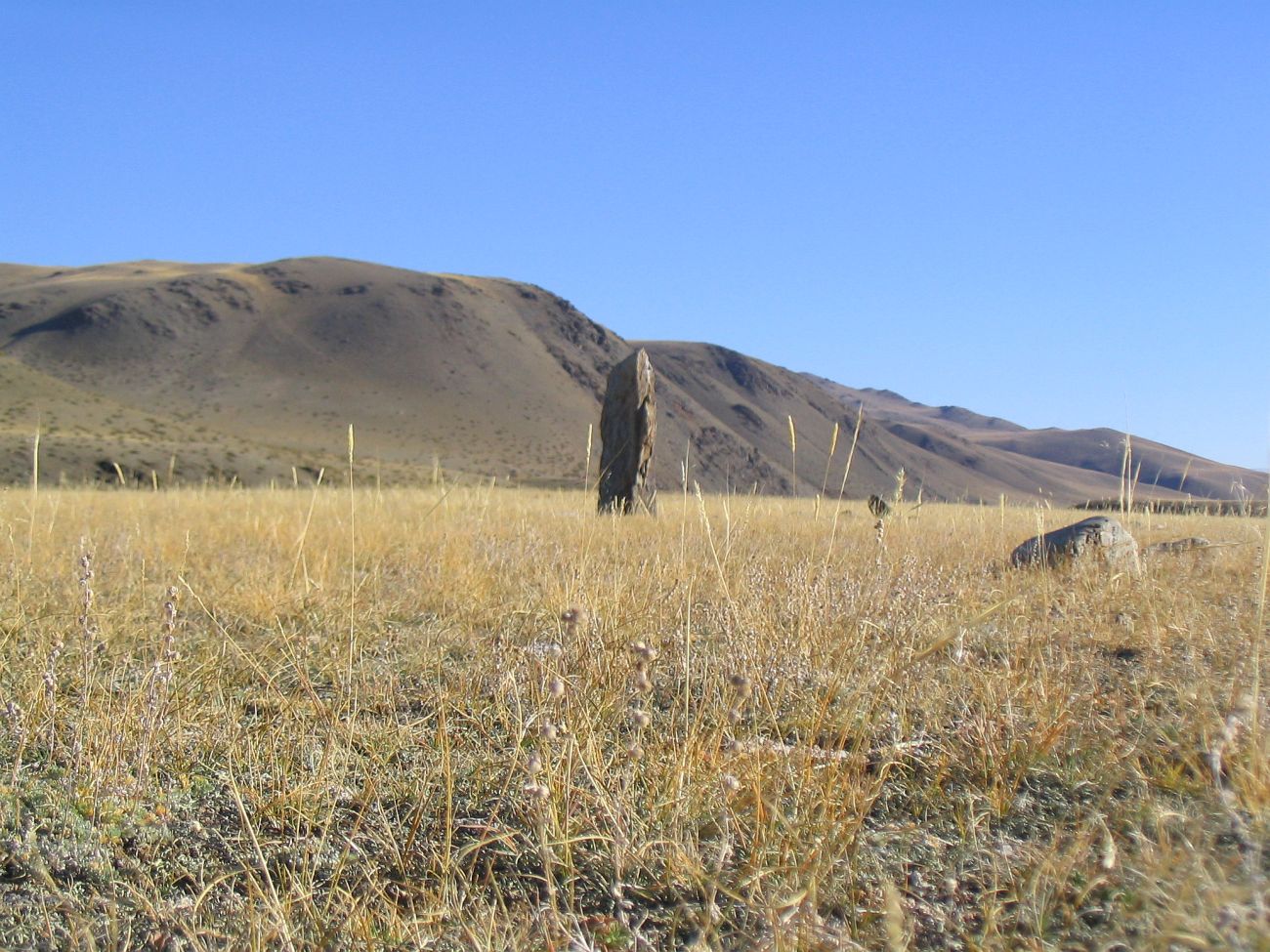 Окрестности урочища Жалпаккобы, image of landscape/habitat.