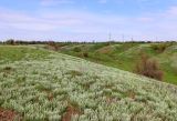 Вергунский Разъезд, image of landscape/habitat.