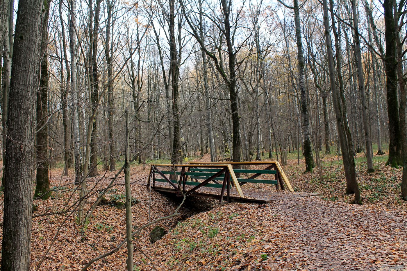 Заказник "Теплый Стан", image of landscape/habitat.